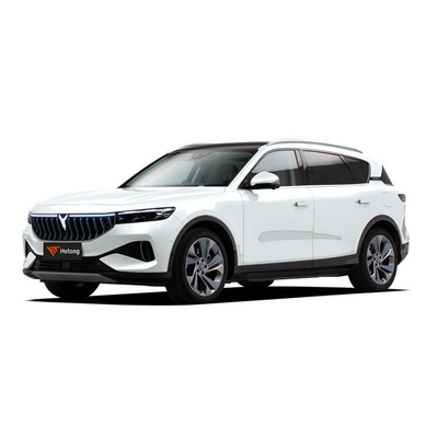 VOYAH VOYAH SUV 전기차 5 좌석과 3-5h의 빠른 충전 시간 배송 준비