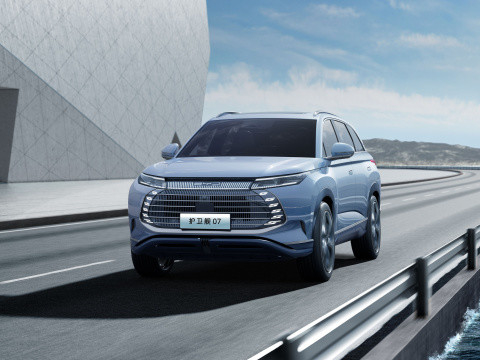 2023 BYD 파격함 07 DM-P 175km 4WD 플러그인 하이브리드 전기 에너지 자동차 성인 차량