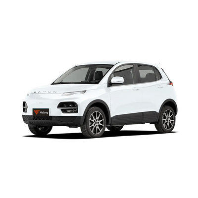 DAYUN M1 에너지 차량 전기 자동차 성인 자동차 고급 2023 유허 ES3 300km 장거리 EV