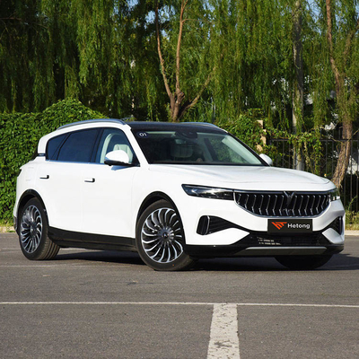 VOYAH VOYAH SUV 전기차 5 좌석과 3-5h의 빠른 충전 시간 배송 준비