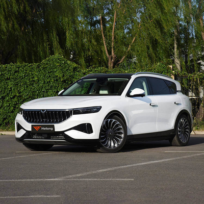 VOYAH VOYAH SUV 전기차 5 좌석과 3-5h의 빠른 충전 시간 배송 준비