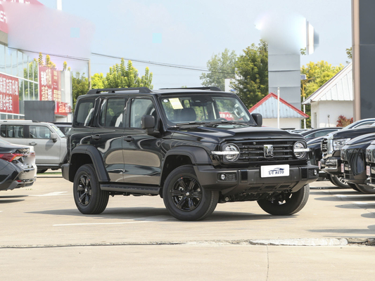 탱크 300 크로스 컨트리 2.0T 터보 가솔린 SUV 중국 가스/가솔린 전기 하이브리드 차량