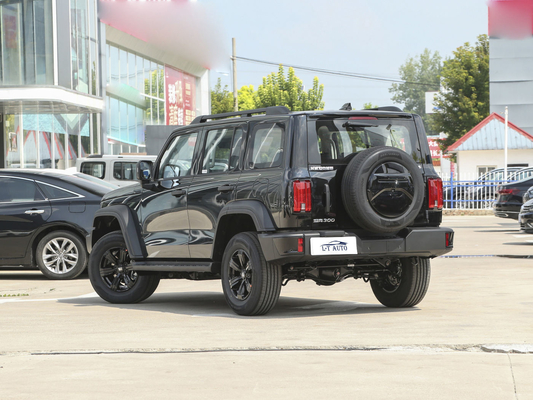 탱크 300 크로스 컨트리 2.0T 터보 가솔린 SUV 중국 가스/가솔린 전기 하이브리드 차량