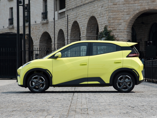 콤팩트 강력한 2023 BYD 세이그 305km 리?? 철화강 배터리 소형 자동차