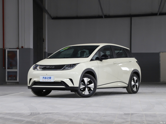 405 Km 순수 전기 자동차 내구차 Byd 돌고래 리?? 철화강 배터리