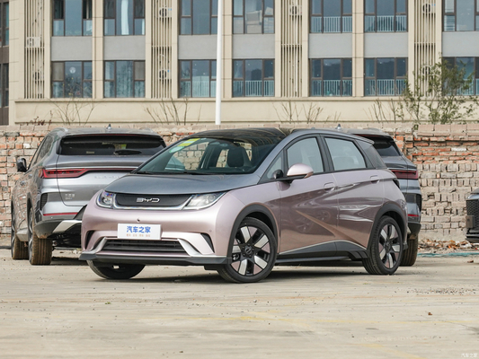 405 Km 순수 전기 자동차 내구차 Byd 돌고래 리?? 철화강 배터리