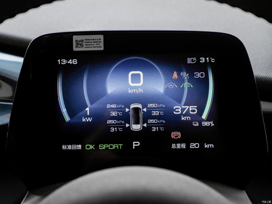 405 Km 순수 전기 자동차 내구차 Byd 돌고래 리?? 철화강 배터리