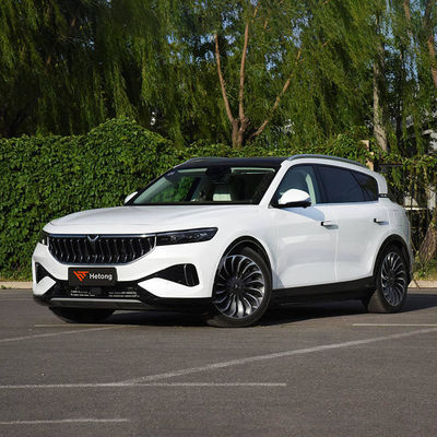 고속 EV 고속 충전 전기 차량 VOYAH 무료 2020-2023 ≥500Nm 5 좌석