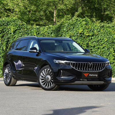 고속 EV 고속 충전 전기 차량 VOYAH 무료 2020-2023 ≥500Nm 5 좌석