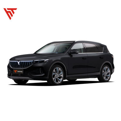 고속 EV 고속 충전 전기 차량 VOYAH 무료 2020-2023 ≥500Nm 5 좌석