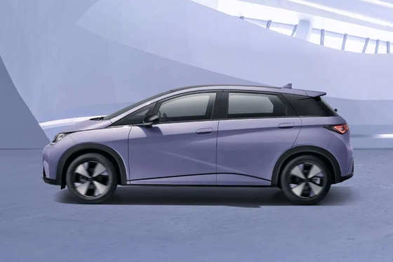 순수 전기 Byd Haitun 돌고래 에너지 차량 리?? 철화강 배터리