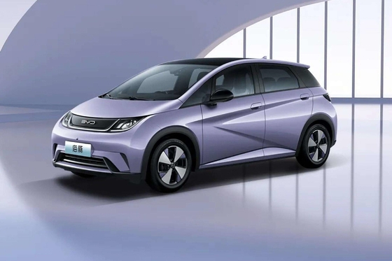 순수 전기 Byd Haitun 돌고래 에너지 차량 리?? 철화강 배터리