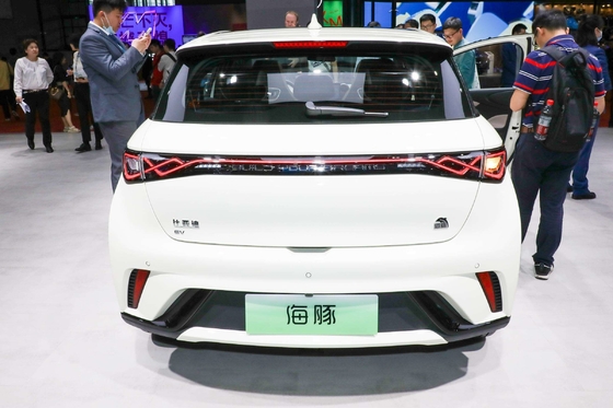 순수 전기 Byd Haitun 돌고래 에너지 차량 리?? 철화강 배터리