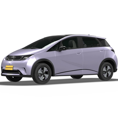 순수 전기 Byd Haitun 돌고래 에너지 차량 리?? 철화강 배터리