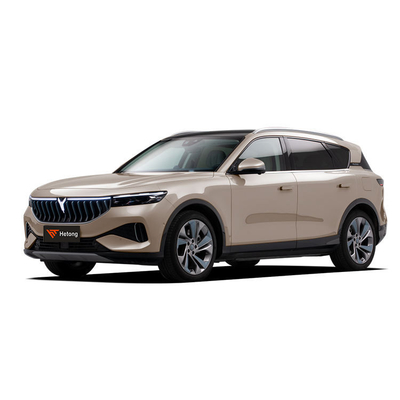 2023 4WD VOYAH 무료 확장 범위 독점 고급 전기 자동차 EV SUV 순 505kw 631kw