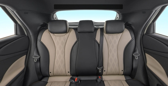 Byd 돌핀 2021 301km 비탈리티 에디션 EV 왼쪽 스티어링 빠른 충전 시간 0.5 시간