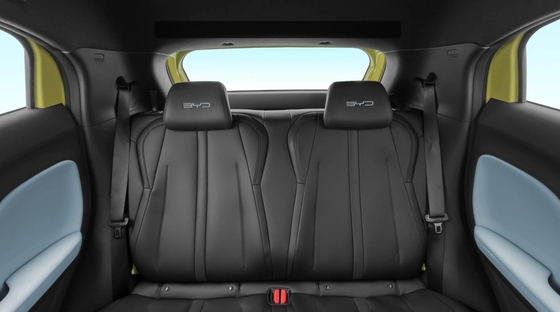 BYD 시어걸 현대자동차 에너지 전기 차량 4도어 5석 체구 구조