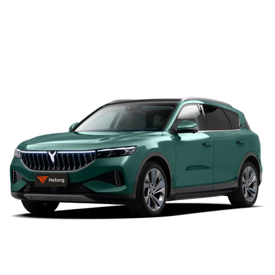 2023 보야 자유 하이브리드 EV SUV 좌측 스티어링 및 총 모터 전력 ≥300kW